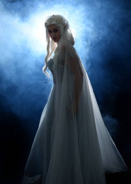 full length portrait beautiful blonde fantasy maiden faery wearing medieval fairytale ballgown costume, veiled white cape. standing pose  isolated dark studio background with spooky  smoke fog effect clipart