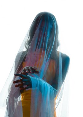 Kadın modelin siluetli arka ışıklandırmalı portreleri katıksız kefen örtüsüyle örtülmüş, hafif ışıklandırmayla parlayan. Gizemli, karamsar ve dramatik fantezi veya gotik temalar için mükemmel..