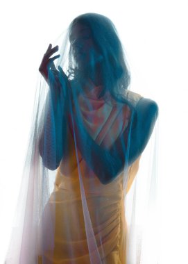 Kadın modelin siluetli arka ışıklandırmalı portreleri katıksız kefen örtüsüyle örtülmüş, hafif ışıklandırmayla parlayan. Gizemli, karamsar ve dramatik fantezi veya gotik temalar için mükemmel..