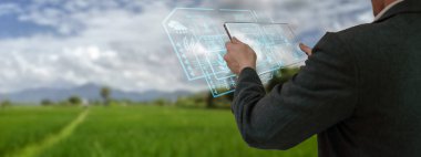 Akıllı tablet kullanan iş adamı, organik pirinç tarlası üretim kontrolü, tarımsal ürün kontrol teknolojisi kavramı, gelecekteki ticaret dünyası pazarına, verimliliği takip et, tarım uydusu
