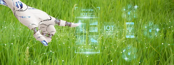 Akıllı tablet kontrolü pirinç tarlası ürünü kullanan robot, tarımsal fütüristik sektör konsepti 4.0 teknoloji, gelecekteki geleneksel dünya pazarı, verimlilik, tarım uydusu, 5g analiz pazarlaması