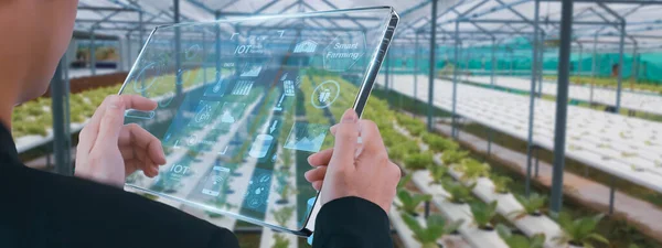 Agricultura Inteligente Futurista Hombre Negocios Usando Tableta Inteligente Control Producción —  Fotos de Stock