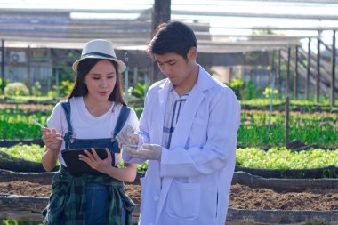 Genç kadın akıllı çiftçi ya da tarımcı, organik tarım, taze sebze ürünleri, konsept dijital teknoloji akıllı tarım ve akıllı çiftçilik ile tablet kontrol kalitesi kullanan