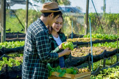 Genç akıllı çiftçi, organik tarım, taze sebze ürünleri, konsept dijital teknoloji akıllı tarım ve akıllı çiftçilik ile tablet kontrol kalitesi kullanıyor.