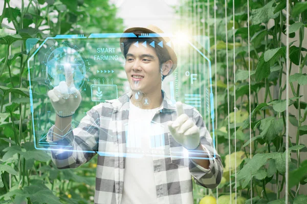 Tecnología Agrícola Inteligente Negocio Agricultura Industrial Concepto Alimentos Joven Agricultor — Foto de Stock