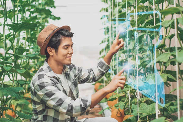 Smart farming technology,business,industry agriculture food concept,young farmer using interface screens in greenhouse,checking order online,monitor agricultural products,with artificial intelligence