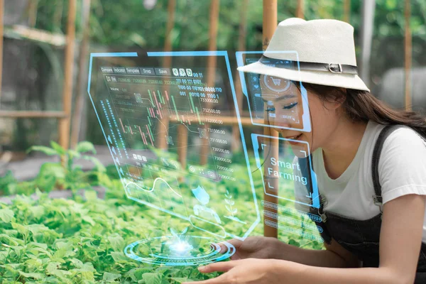 Inteligentne Technologie Rolnicze Biznes Rolnictwo Przemysłowe Koncepcja Żywności Młode Kobiety — Zdjęcie stockowe