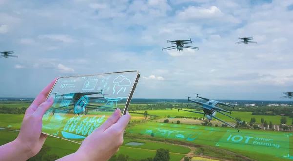 Bauern Nutzen Intelligente Tablet Steuerung Landwirtschaftlicher Drohnen Fliegen Scannen Reisplantagen Stockbild