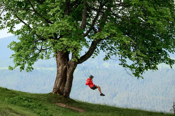 Uma Criança Monta Balanço Alto Nas Montanhas Uma Árvore Balanço — Fotografia de Stock