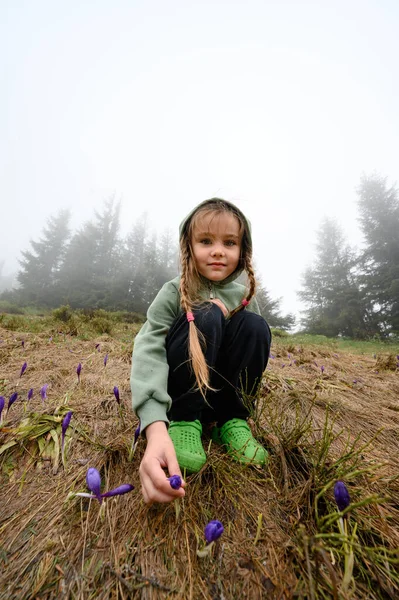Girl Sits Smiles Crocuses Crocuses Dry Grass Spring Flower Mountains — Fotografia de Stock