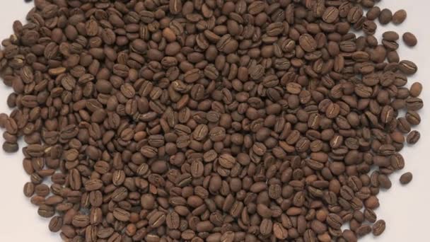 Video Close Coffee Beans Coffee Beans Texture Zooming Coffee — Stock Video