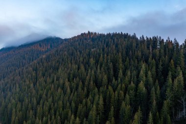 Dağların atmosferik manzarası, yüksek dağlar, yoğun sis, yağmurlu hava, dağların tepeleri, kalın bulutlar, ilkbaharın başlarında şafak vakti dağlar..