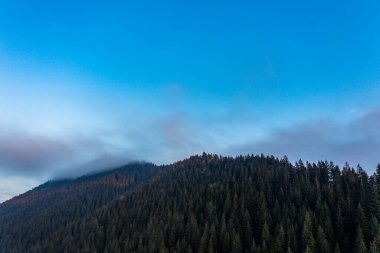 Dağların atmosferik manzarası, yüksek dağlar, yoğun sis, yağmurlu hava, dağların tepeleri, kalın bulutlar, ilkbaharın başlarında şafak vakti dağlar..