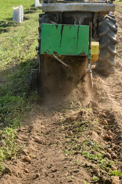 在村里收割 在耕地和震动屏风的拖拉机的帮助下收割土豆 在田里干活 — 图库照片