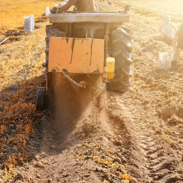 밭에서 일하고 트랙터의 도움을 마을에서 수확하고 쟁기와 진동하는 화면으로 — 스톡 사진