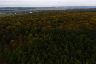 Ukrayna 'nın Ternopil bölgesindeki yaprak döken ormanların güzel bir sonbahar manzarası olan İHA tarafından çekilen ormanın fotoğrafı. yeni