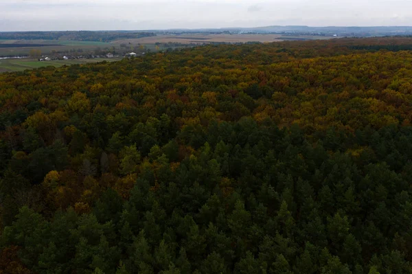 Фотография Леса Сделанная Беспилотником Прекрасный Осенний Пейзаж Лиственных Лесов Тернопольской — стоковое фото