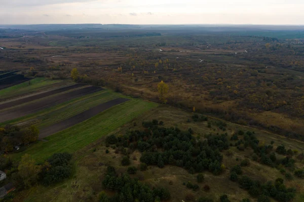 Sonbaharda Ternopil Deki Ukrayna Tarlalarının Ormanlarının Panoramik Manzarası Yeni — Stok fotoğraf