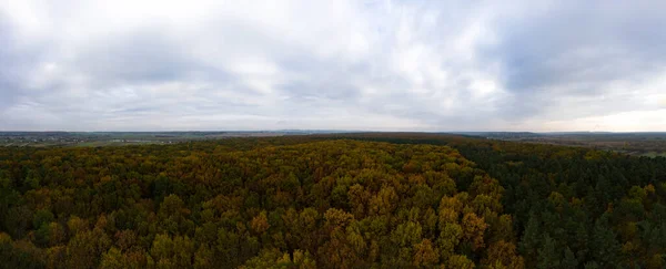 Φθινόπωρο Πανόραμα Των Κιτρινισμένων Φύλλων Κορυφαία Θέα Του Πολύχρωμου Δάσους — Φωτογραφία Αρχείου