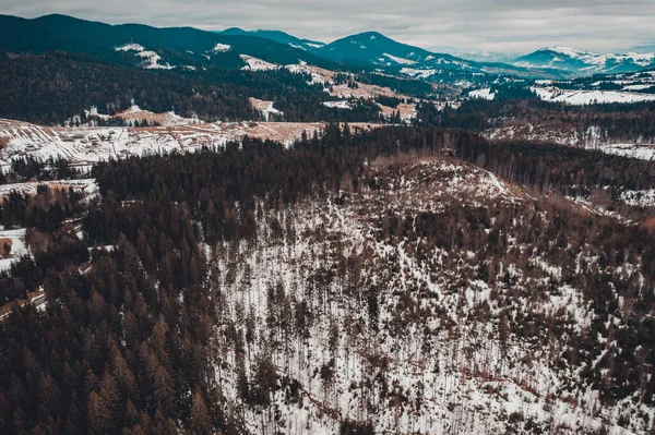 Carpathian slopes in the snow, view of the mountains from above, drone panorama, winter in the Carpathian mountains.