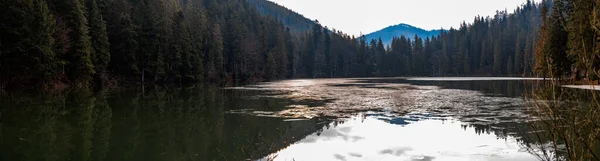 Panorama Jezera Synevyr Malebné Horské Jezero Jezero Horách Jarní Čas — Stock fotografie