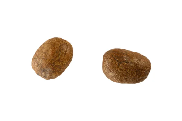 焙煎コーヒー豆マクロエナジードリンク粒マクロレンズの下の豆 — ストック写真