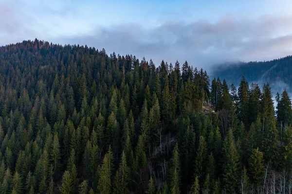 Bergen Atmosferisch Landschap Van Hoge Bergen Dikke Mist Bij Regenachtig — Stockfoto