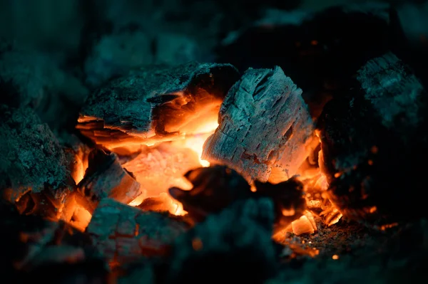 Detailed Plan Combustion Chamber Fireplace Burning Wood Fireplace Process Burning — Stock Photo, Image