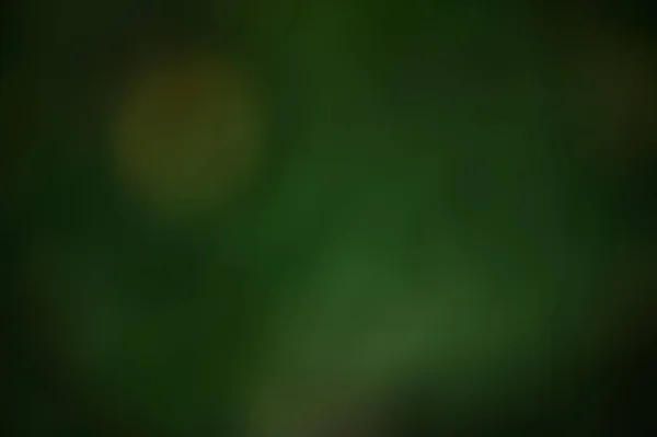 Bokeh Verde Sfondo Nero Albero Sfocato Nuove Foglie — Foto Stock