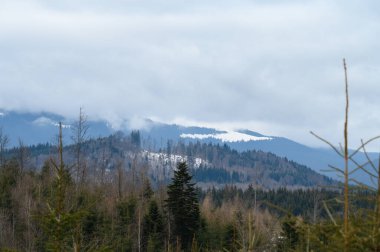 Karpatlar 'ın karla kaplı harika manzaraları ve Ukrayna' daki açık mavi gökyüzü Vorokhta yakınlarındaki manzaralar..