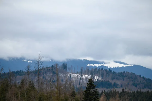 Prachtig Uitzicht Karpaten Bedekt Met Sneeuw Heldere Blauwe Lucht Oekraïne — Stockfoto