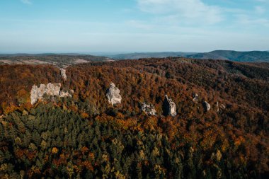 Ukrayna 'nın batı ormanlarında Dovbush kayaları, kayın ormanları ve büyük taş kayaları, sonbahar orman manzaraları.