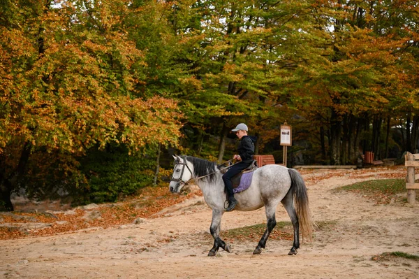 Menino Idade Escolar Monta Cavalo Parque Rocha Dovbush Ucrânia Uma — Fotografia de Stock