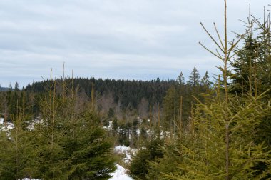 Karpatlar 'ın karla kaplı harika manzaraları ve Ukrayna' daki açık mavi gökyüzü Vorokhta yakınlarındaki manzaralar..