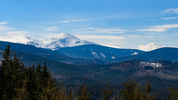 Underbar Utsikt Över Karpaterna Täckta Med Snö Och Klarblå Himmel — Stockfoto