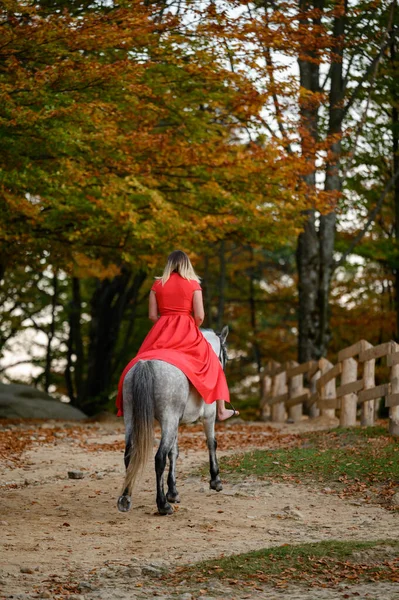 Une Femme Robe Rouge Est Assise Sur Cheval Une Promenade — Photo