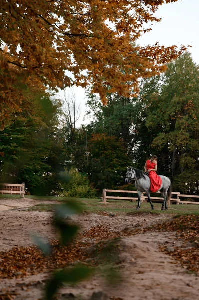 Une Femme Robe Rouge Est Assise Sur Cheval Une Promenade — Photo