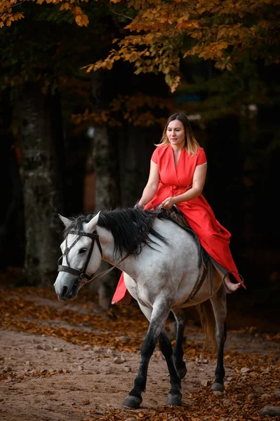 Ridning Häst Promenader Höstskogen Kvinna Rider Häst Lång Röd Klänning — Stockfoto