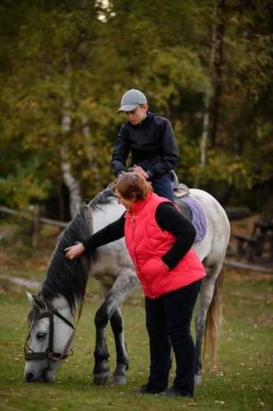 公園の祖母と孫 少年は馬の上に座っており 祖母は彼の隣に立っている 公園の灰色の馬 — ストック写真