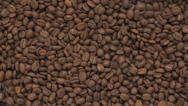 Wideo Bliska Ziarna Kawy Ziarna Kawy Jako Tekstury Powiększenie Kawy — Wideo stockowe