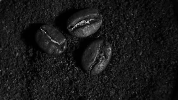热黄光特写下的咖啡豆 烤豆片 黑白片 — 图库视频影像