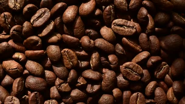 Coffee Beans Falling Close Slow Motion Video Coffee Black Background — Stok video