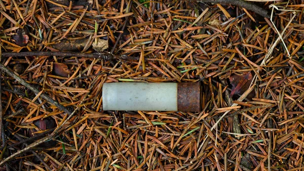 Old used and rusty cartridge case in the woods, cartridge case for weapons and hunting.