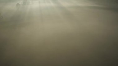 Drone flight up between clouds to the sun and clear sky, rays from the sun between clouds and fog.