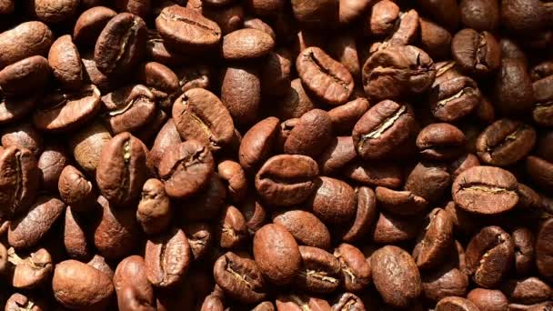 Coffee Beans Falling Close Slow Motion Video Coffee Black Background — Stockvideo