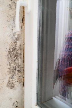 Pencerenin köşesinde ve penceresinde küf, duvarlarda tehlikeli ve zararlı küf, pencerede görüntü.