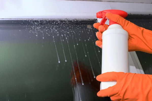 Spraying Drug Harmful Mold Window Chemicals Run Window Glass Royalty Free Stock Photos