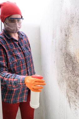 Bir kadın duvara küf püskürtüyor, evde küf çıkartıyor, gözlüklü bir kadın, maske ve lastik eldivenler, koruyucu ekipmanlar..