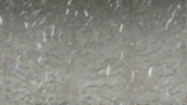 素晴らしい冬の朝 雪と光の風 灰色の壁の背景に自然観察 — ストック動画