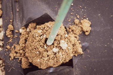 Bir adam tarlada, tarlada ve el işçiliğinde, yabani otlardan elde matkapla bir delik açar..